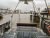 Workboat 10m 2019 - Image 5