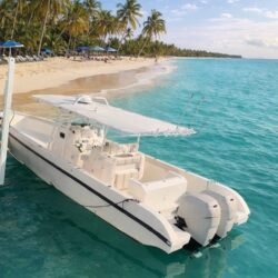 07C69418-39D5-495A-A63F-358A55086289