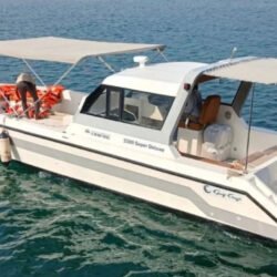 Dolphin super deluxe33
