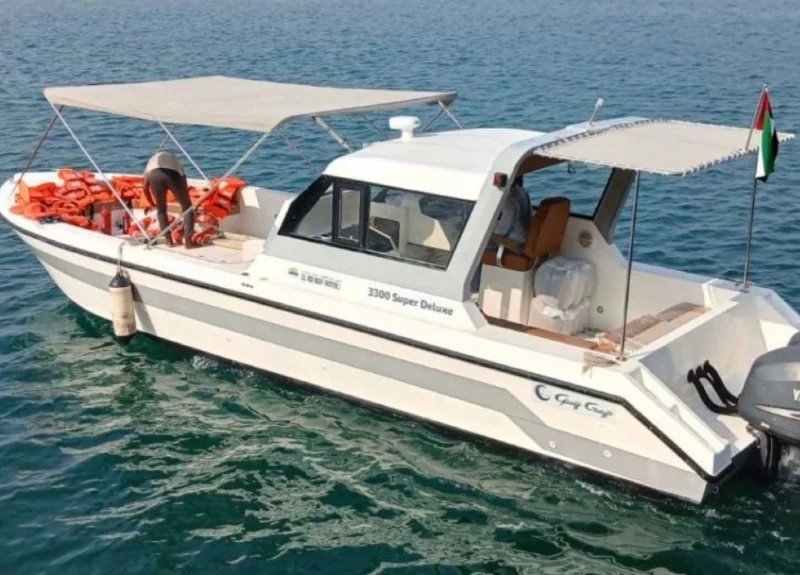 Dolphin super deluxe33 Dolphin super deluxe33