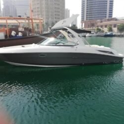 Searay31-1-uaeboats4sale.com